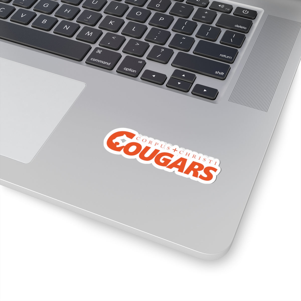 Corpus Christi Cougars Vinyl Stickers