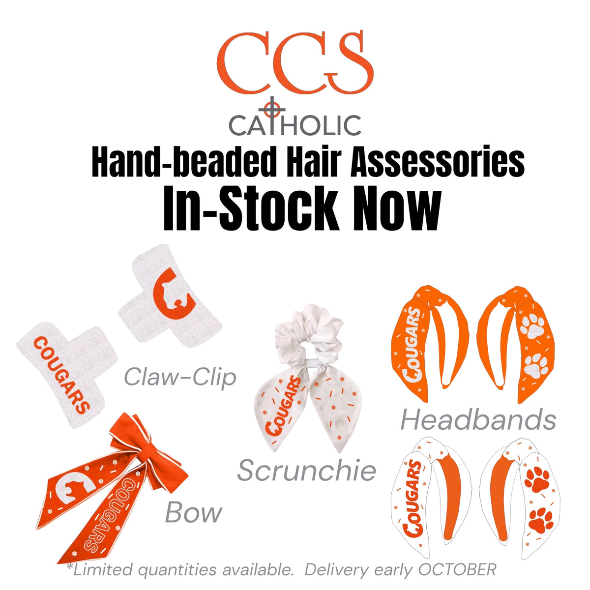 Hand Beaded Hair Accessories